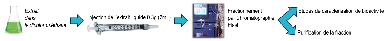 Fractionnement par Chromatographie Flash du dichlorométhane