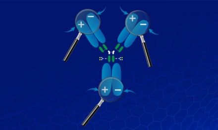 Analyse & purification des protéines : tout sur la chromatographie par échange d’ions (IEX)