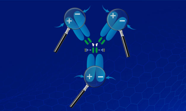 Analyse & purification des protéines : tout sur la chromatographie par échange d’ions (IEX)