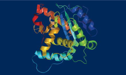 Purification de protéines : la stratégie CEP