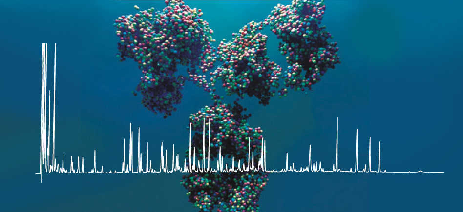 Quelle colonne HPLC choisir pour l’analyse et/ou la caractérisation de vos Biomolécules ?