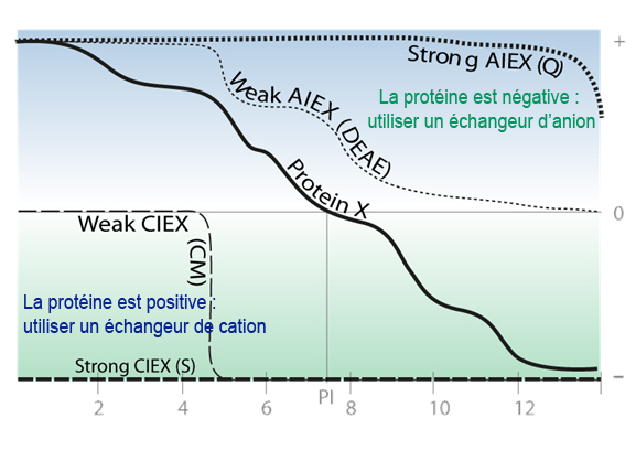 Technical tip : Echange d'anions
