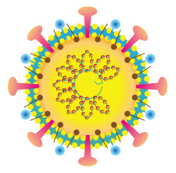 Coronavirus nCov-2019