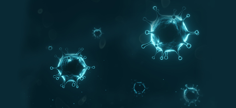 Nouveau SARS-CoV-2 (2019-nCoV) Nucleoprotein / NP ELISA Kit