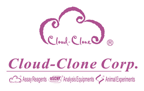 Logo Cloud Clone