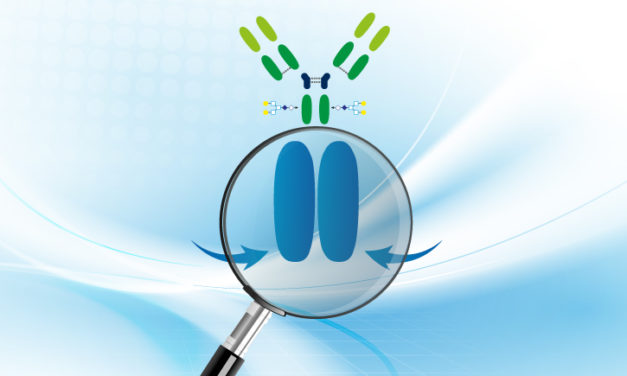 Analyse & purification des protéines : tout sur la chromatographie par affinité