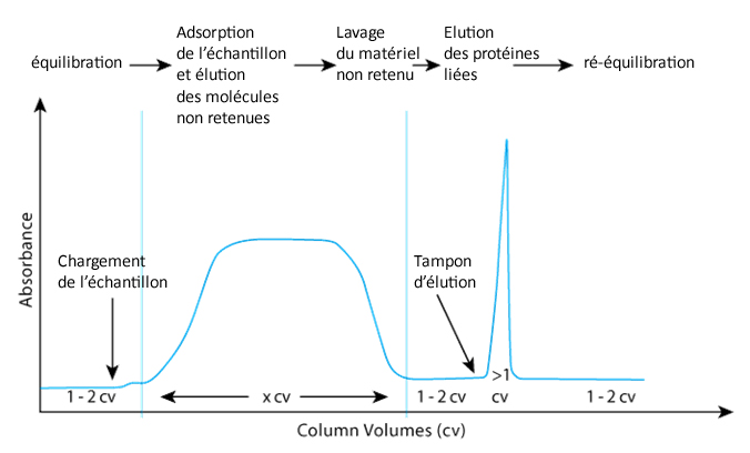 Etapes classiques de l’affinité