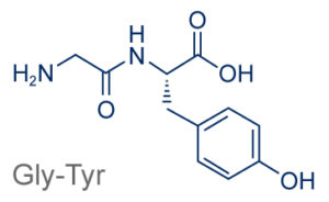 Gly-Tyr