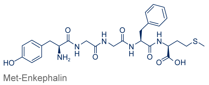 Met-Enkephalin