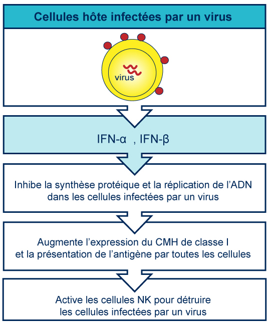 Cellules hôte infectées par un virus