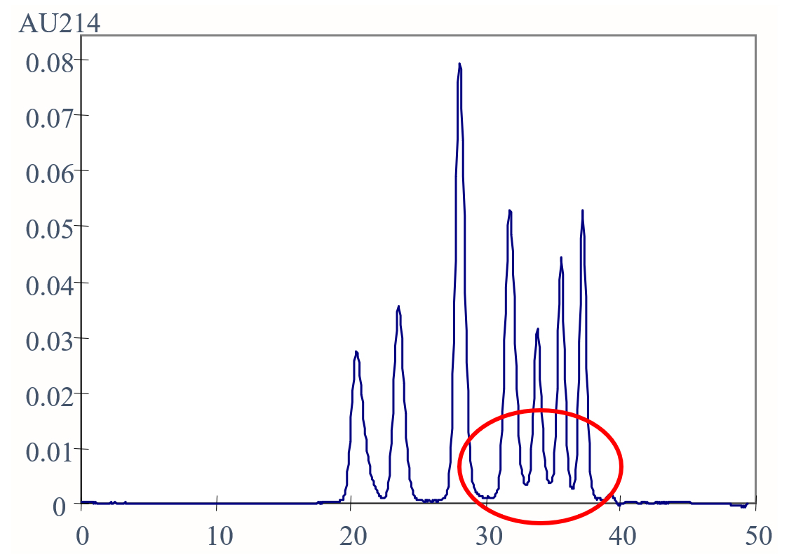 Influence de la taille des colonnes sur la séparation des protéines - 2 colonnes