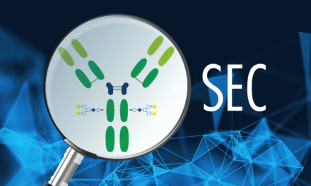 Analyse & purification des protéines : SEC (Size Exclusion Chromatographie), la séparation des molécules selon leurs tailles