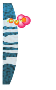 Application de l’échantillon