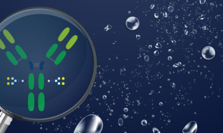 Analyse & purification des protéines : HIC, la séparation des molécules selon leur hydrophobicité