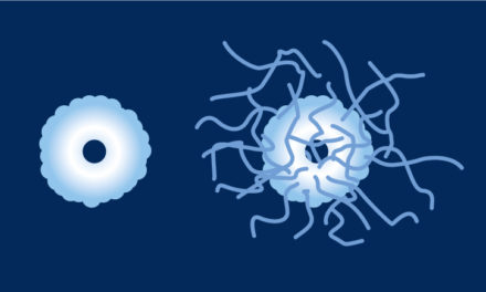 La PEGylation : définition, principes, méthodes et avantages