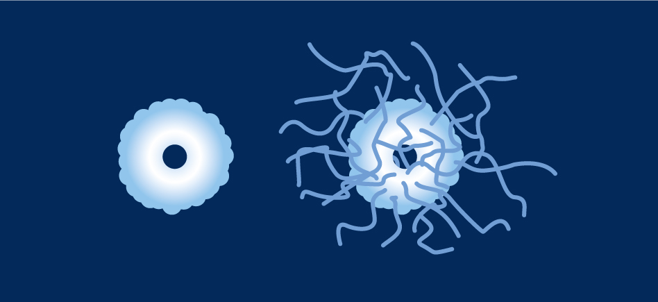 La PEGylation : définition, principes, méthodes et avantages