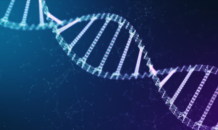 Solutions d’Amplification par PCR Uptima™