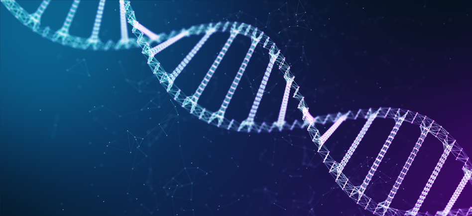 Solutions d’Amplification par PCR Uptima™