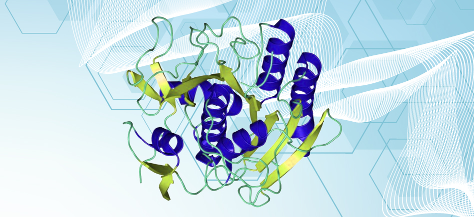 Protéinase K fiable pour les travaux de biologie moléculaire