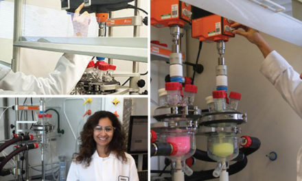 Importance de l’étanchéité des réacteurs pour la synthèse chimique et le développement de procédés