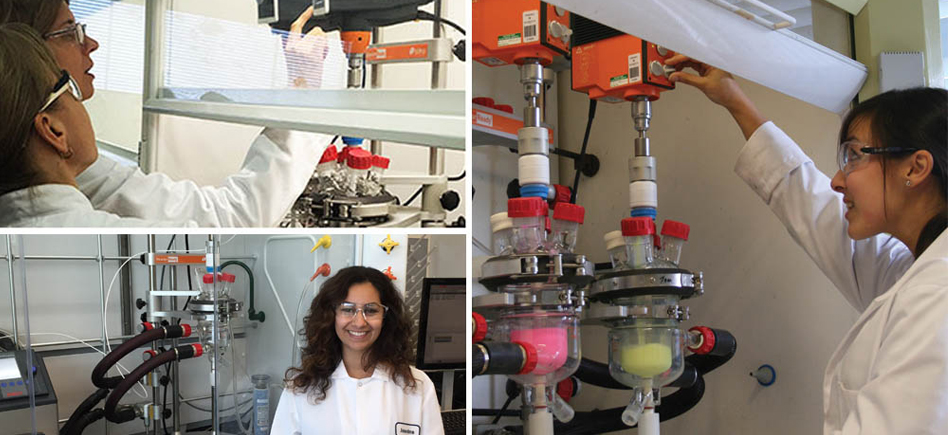 Importance de l’étanchéité des réacteurs pour la synthèse chimique et le développement de procédés