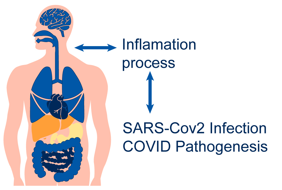 SARS-Cov2 infection