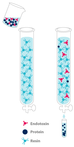 Des protéines, peptides et anticorps