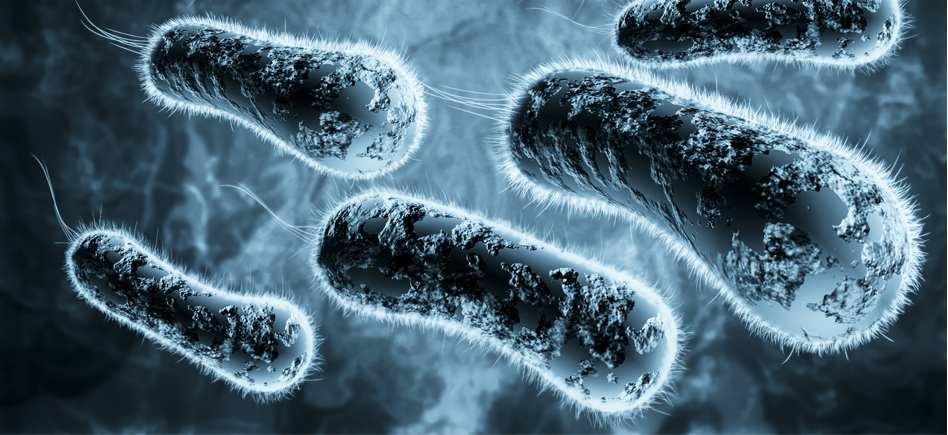 Système de détection et d’élimination des endotoxines