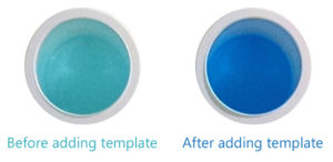 Forget-Me-Not™ EvaGreen® qPCR Master Mix (2-color tracking system)