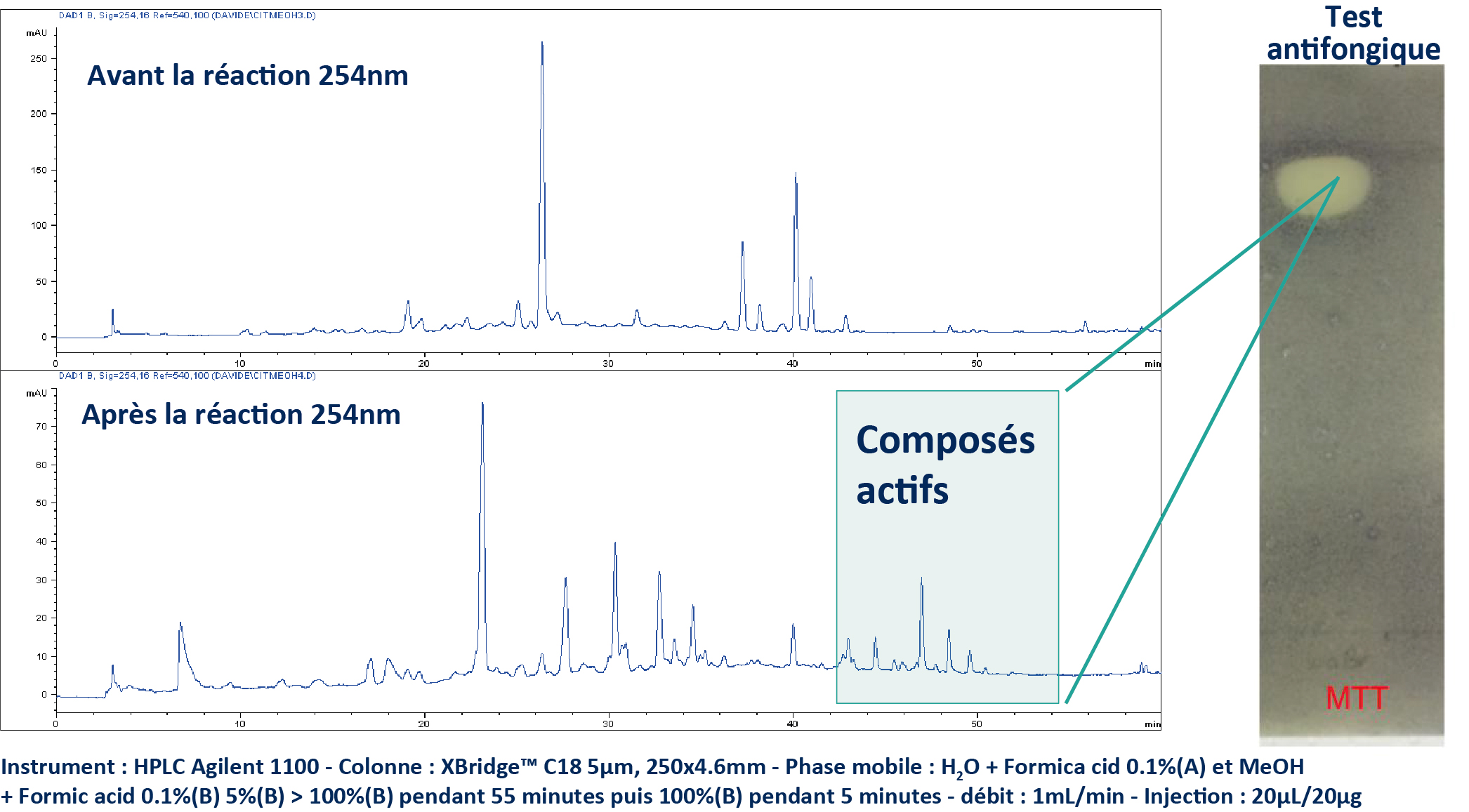 Analyse HPLC UV de l’extrait brut après et avant la réaction