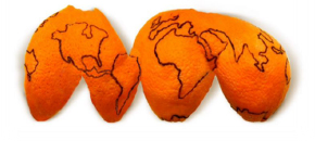 Illustration agrumes modiales