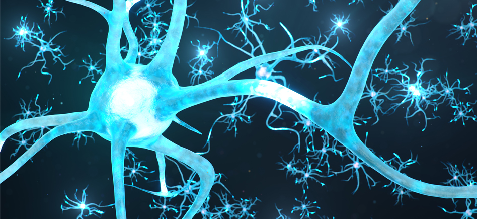 Activation de cGAS / STING dans les maladies neurodégénératives