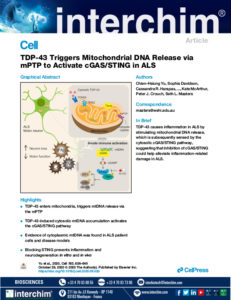 Activation de cGAS / STING dans les maladies neurodégénératives