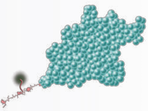 Série PrecisionAvi avec technologie Avitag™