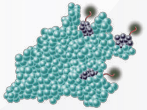 Série UltraLys avec méthode de marquage chimique à la biotine