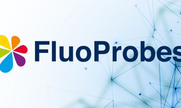 CaRuby-nano, Indicateur de Calcium