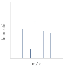 Identification et analyse des protéines par spectrométrie de masse (HPLC-MS)