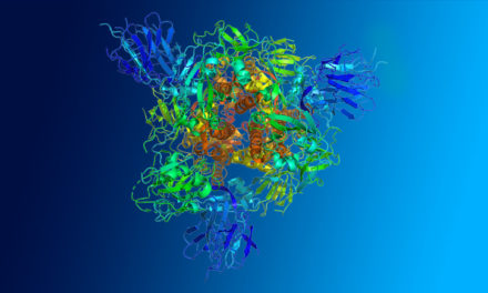 Tampons de lyse pour l’extraction de protéines