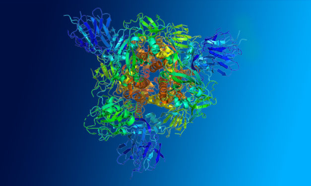 Tampons de lyse pour l’extraction de protéines