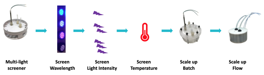 Lucent360™ workflow example with the multi-light screener