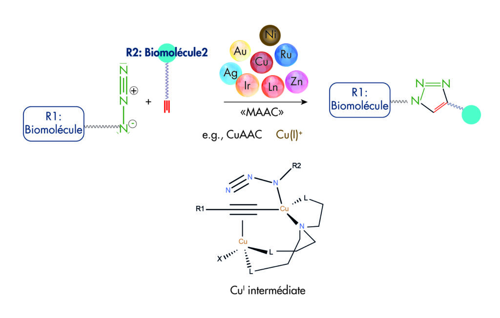 Reactions_Click_Standard_Advion_Interchim_Scientific_Blog_07/22