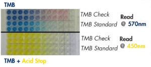 TMB-Plate-Blue-Yellow(Stop)-Pink(Check)_Blog_07/22