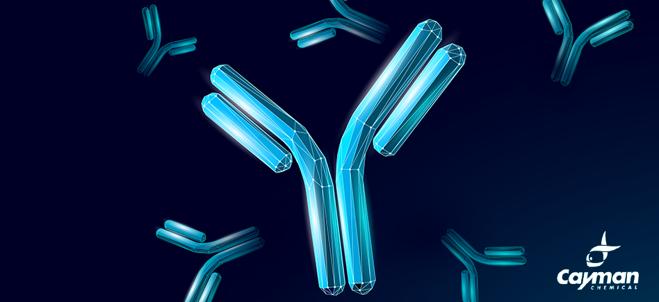 Pourquoi utiliser les kits d’immuno-essais Cayman ?