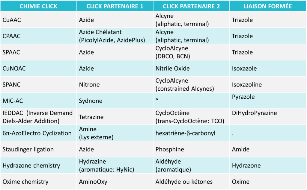 Types_de_chimie_click_utiles_pour_les_bioconjugaisons