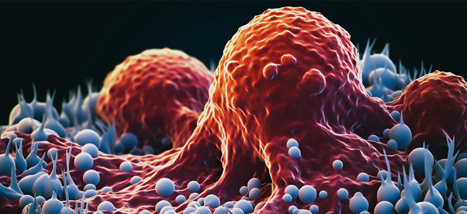 Dosages d’activité kinase : Exploration des méthodes d’évaluation de la fonction enzymatique