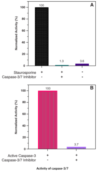 Résultats_Caspase-3/7_Cell-Based_Activity_Assay_Kit_1_Blog_2024_Advion_Interchim_Scientific