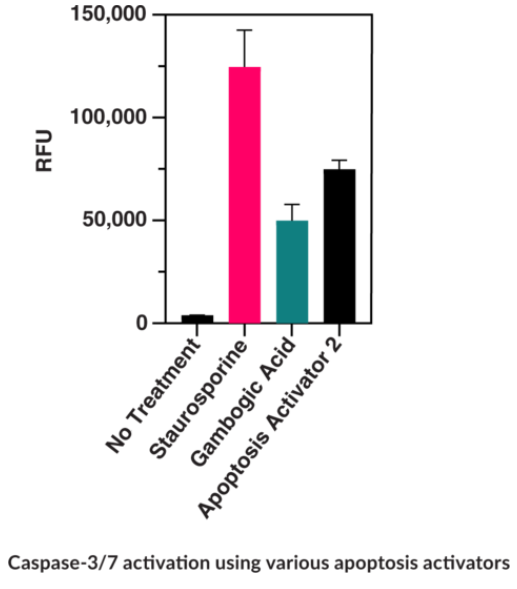 Résultats_Caspase-3/7_Cell-Based_Activity_Assay_Kit_2_Blog_2024_Advion_Interchim_Scientific