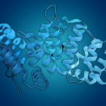 Comment fractionner les protéines efficacement ? Guide des meilleures méthodes