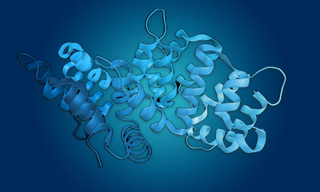Comment fractionner les protéines efficacement ? Guide des meilleures méthodes