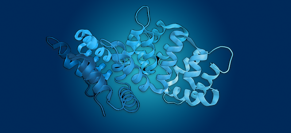 Comment fractionner les protéines efficacement ? Guide des meilleures méthodes